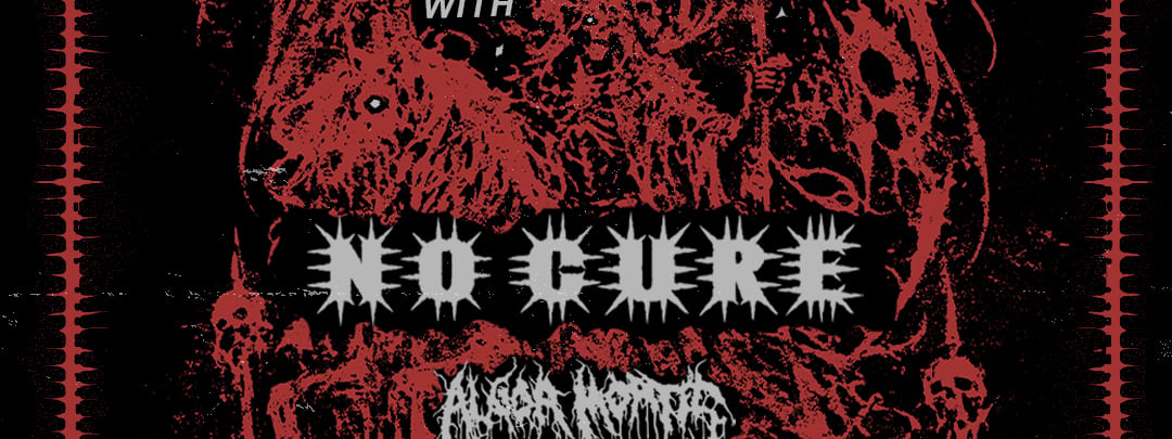 TO THE GRAVE 'NAIL AUSTRALIA TO THE WALLS' with NO CURE (USA) & ALGOR MORTIS - Concert poster for To The Grave's "Nail Australia to the Walls" tour with No Cure and Algor Mortis, featuring distressed black and red band logos and text on dark background.