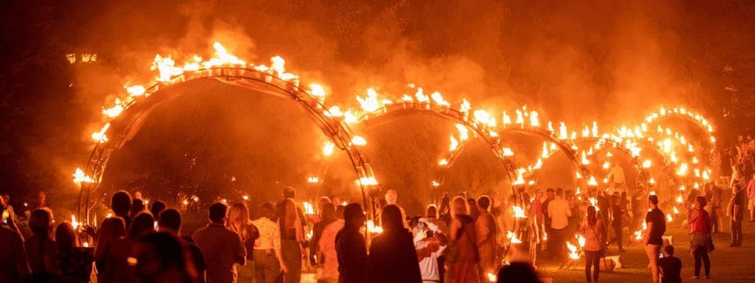Illuminate Adelaide a major success again in 2024