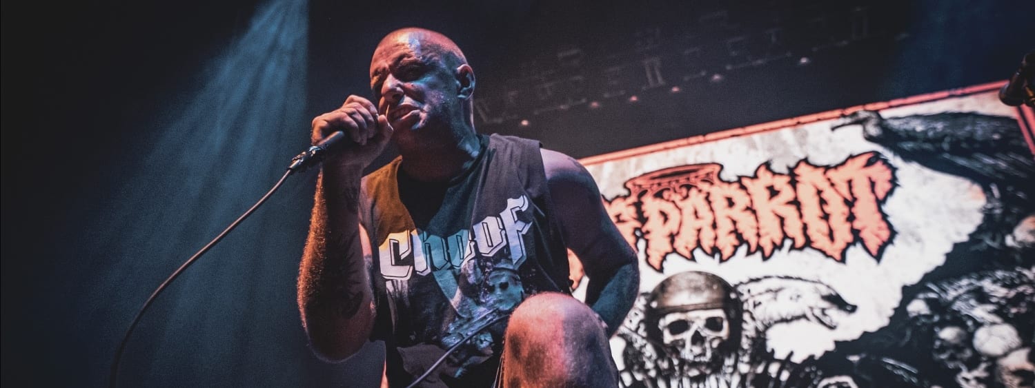 KING PARROT New Single + Video ‘Look Away I’m Hideous’ 