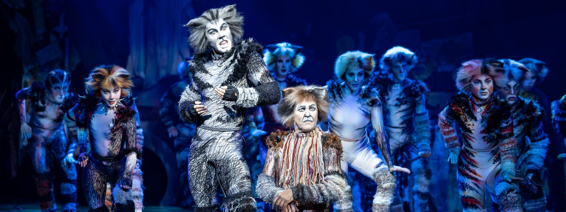 Final Adelaide Performances Now on Sale for 40th Anniversary Tour of CATS the Musical