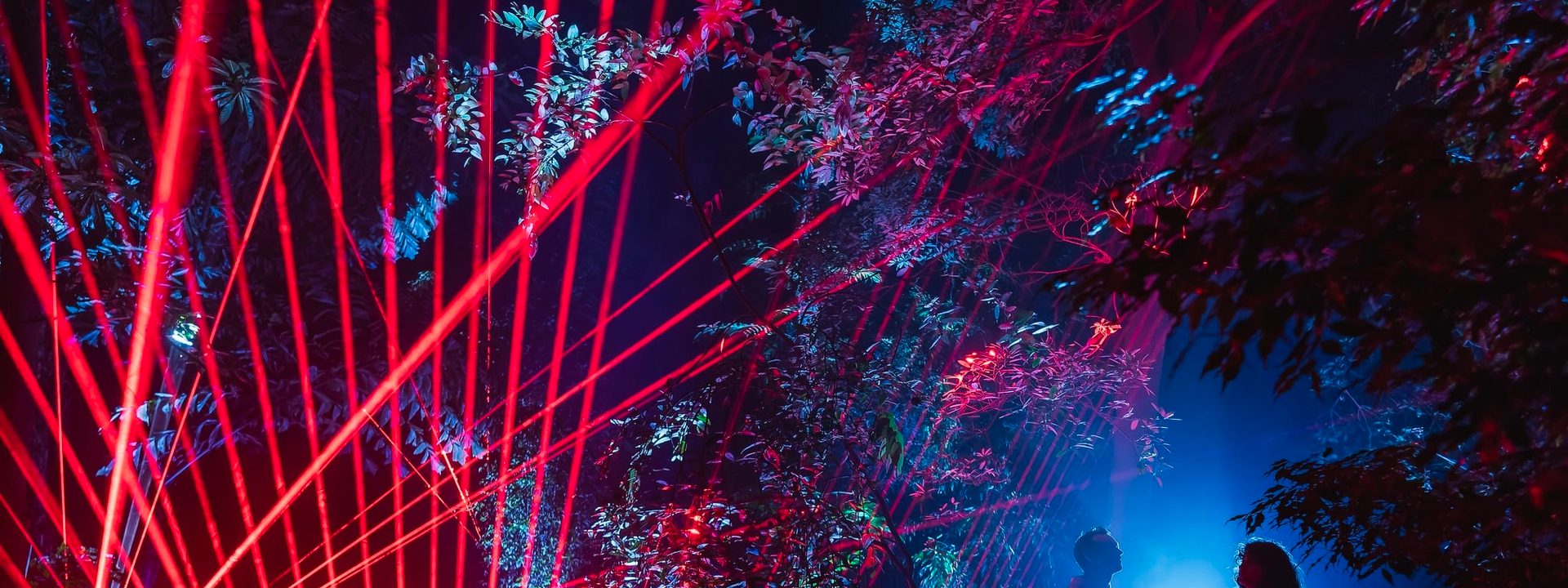 Illuminate Adelaide Flicks The Switch On A Winter Wonderland This Wednesday 