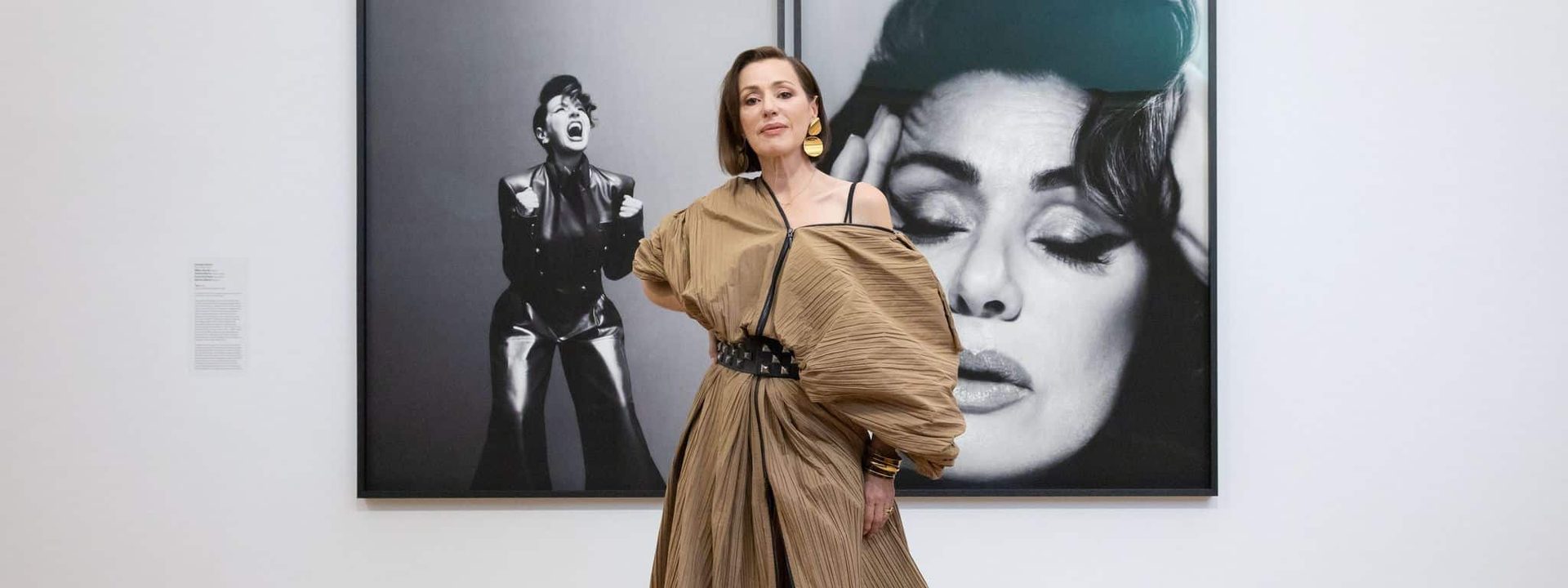 Tina Arena Portrait Unveiled