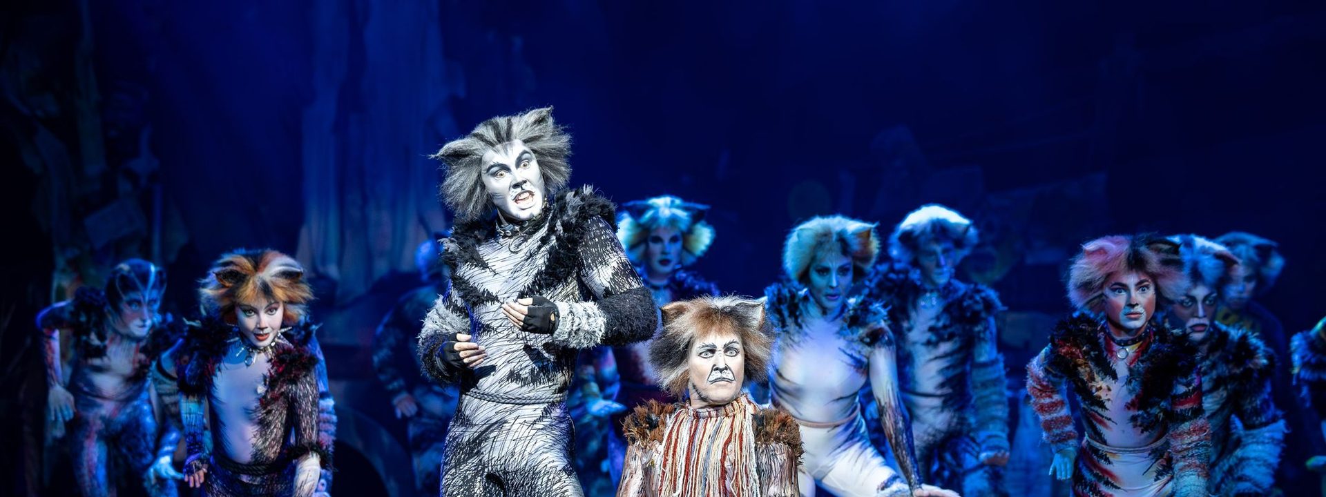 Final Seats Now On Sale For 40th Anniversary Tour Of CATS In Adelaide