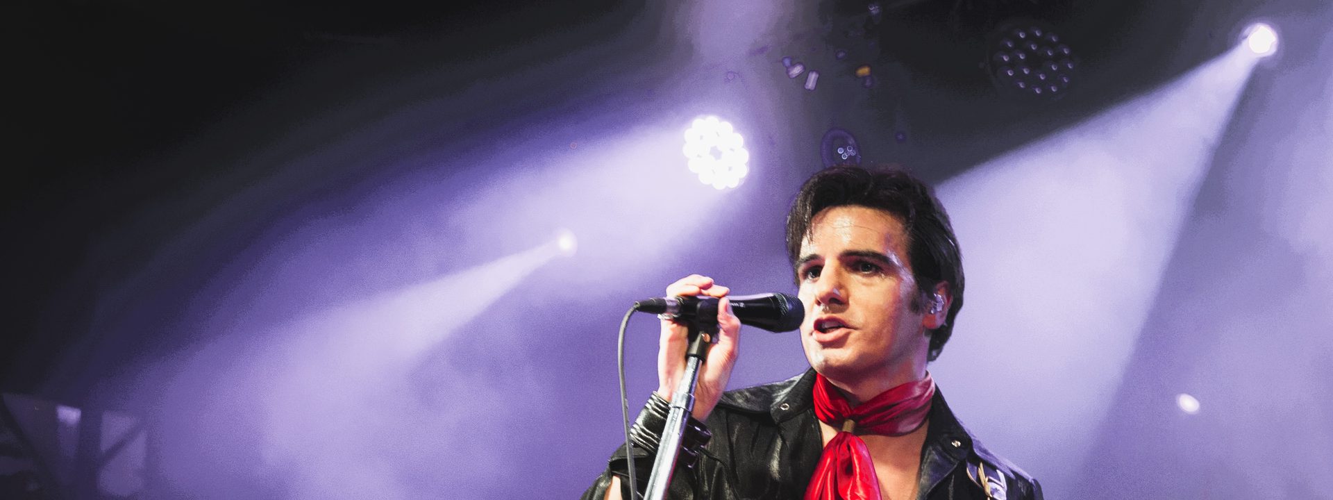 ELVIS – By Anthony Petrucci
