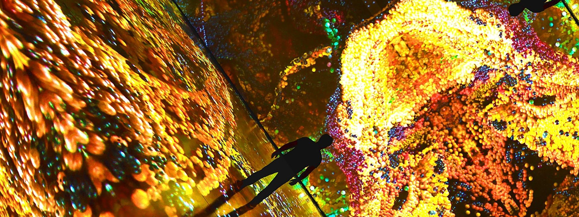 Winter nights are for Illuminate Adelaide and it’s coming SOON!