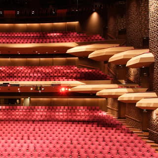 Festival Theatre Guided Tour