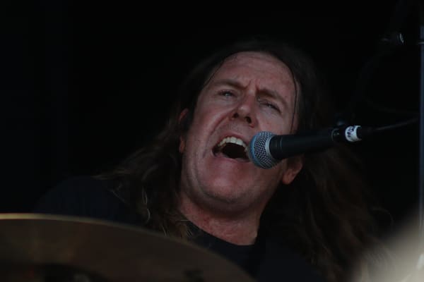 Spiderbait