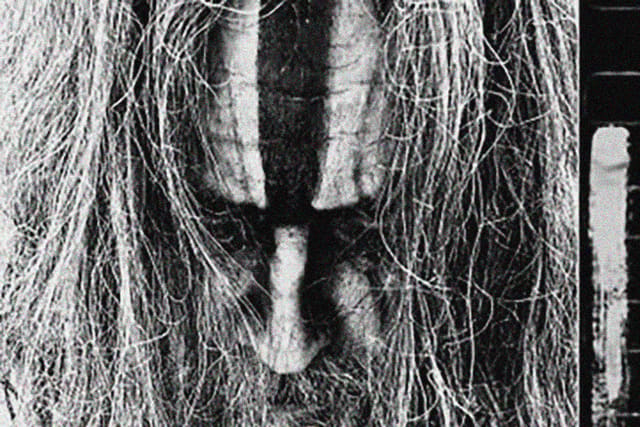ROB ZOMBIE: The Great Satan