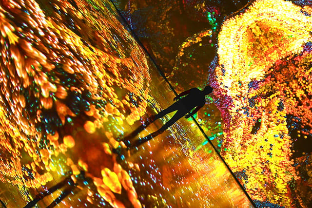 Winter nights are for Illuminate Adelaide and it’s coming SOON!