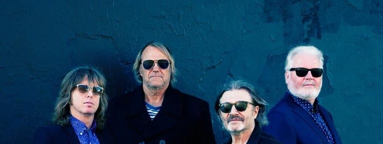 The Stems: Your Kind Of Love