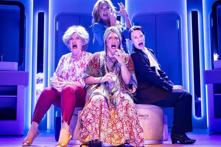Menopause the musical