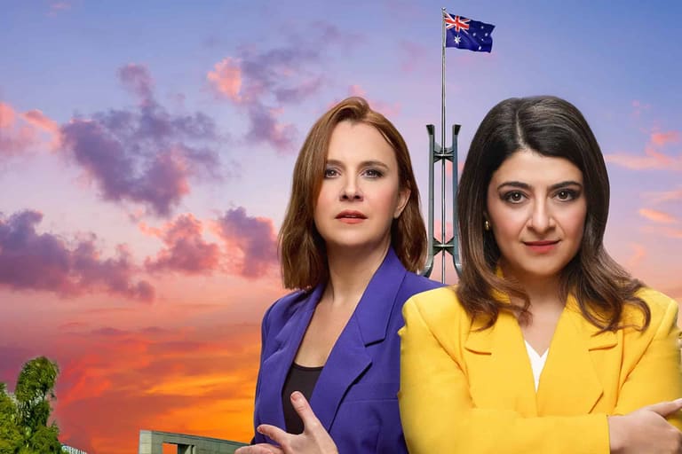 A World Premiere Black Comedy About Parliamentary Privilege, Party Politics And Parenting