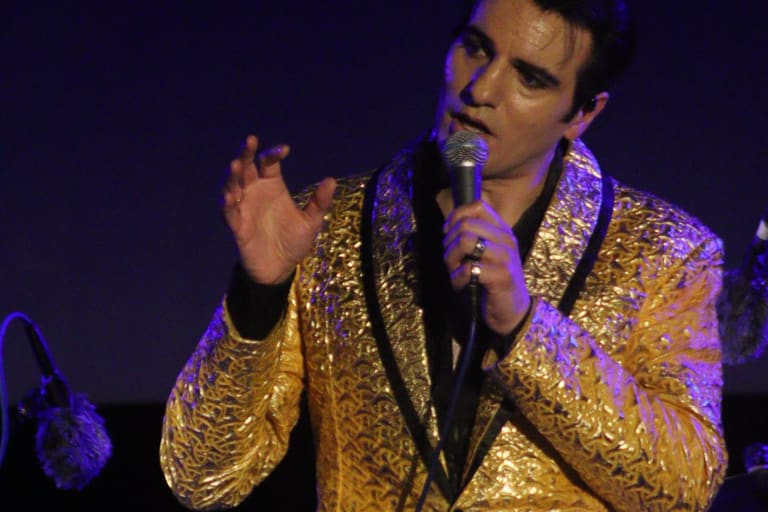 Elvis by Anthony Petrucci