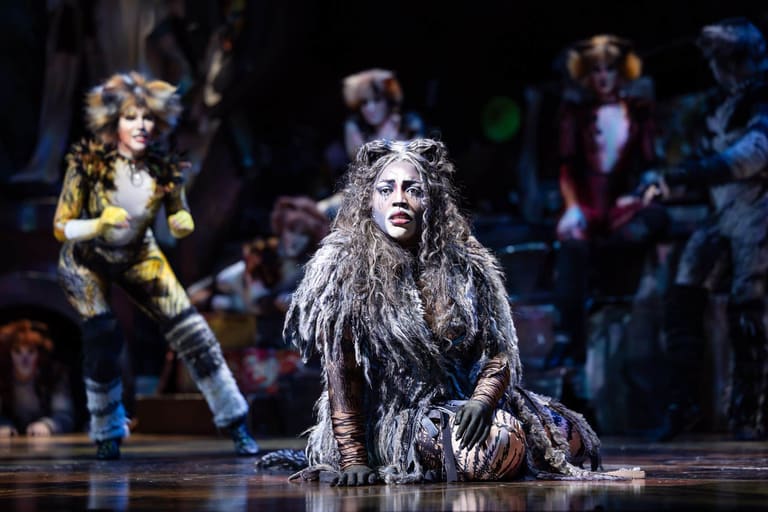 Cats Opens In Adelaide This Week