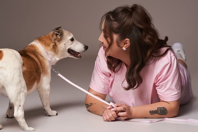 Dogs… A Canine Cabaret – 2026 Adelaide Fringe