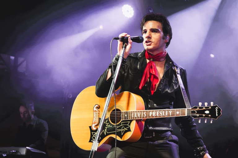 ELVIS – By Anthony Petrucci