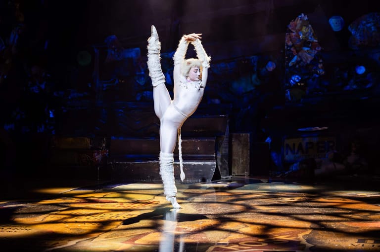Cate Musical