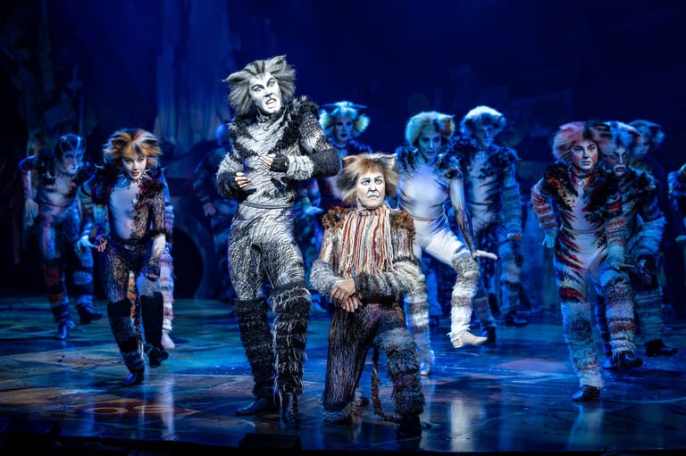 Cate Musical