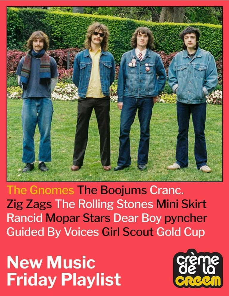 The Gnomes