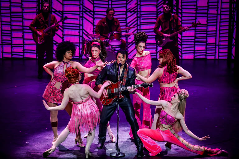 Elvis A Musical Revolution