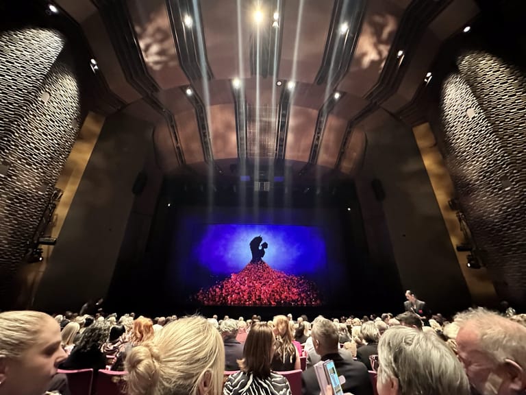 Beauty and the Beast the Musical