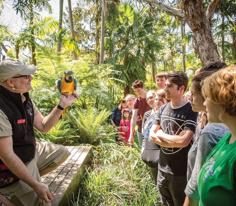 Zookeeper holds a colourful parrot while educating a group of visitors in a leafy outdoor wildlife setting.