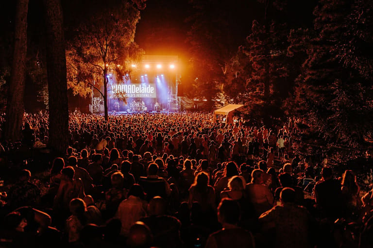 Large crowd of festival-goers silhouetted against an illuminated stage surrounded by trees at night.
