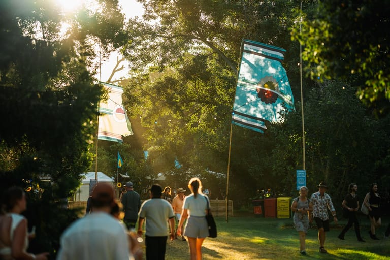 Outdoor gathering in dappled sunlight with attendees viewing large screen displays among trees.