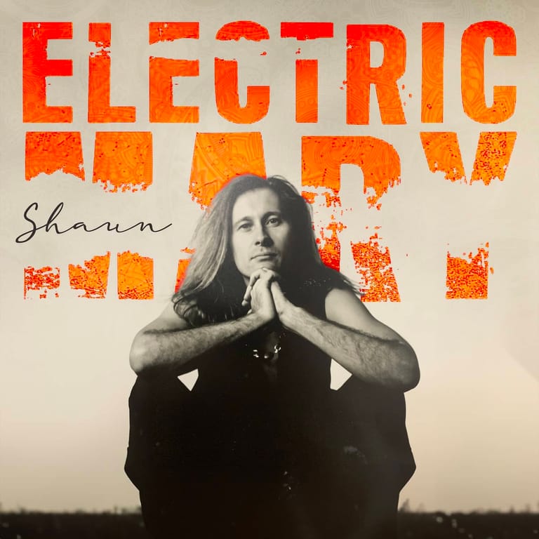 Person with long dark hair resting chin on hands against distressed red and orange "Electric Lady" text design.