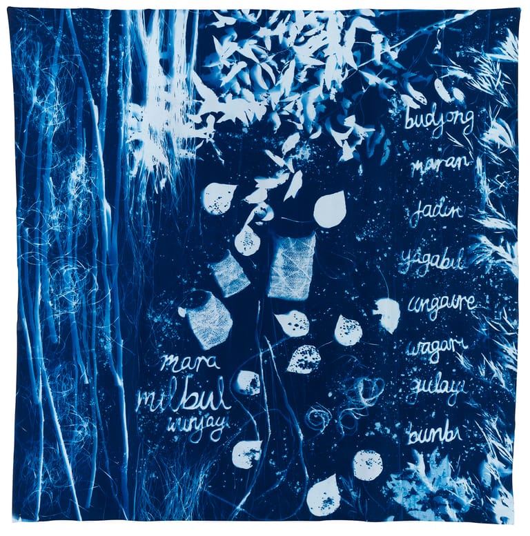 Abstract cyanotype artwork featuring white organic shapes and handwritten text scattered across deep blue background.