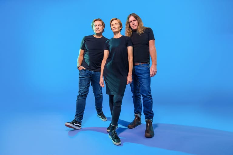Spiderbait