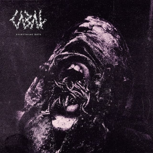 Distorted grayscale portrait of a face with exaggerated features and the text "EVERYTHING ROTS" in top left corner.