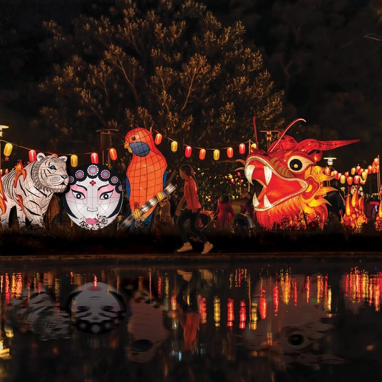 Illuminated lantern sculptures of animals and mythical creatures reflected in still water at night, with warm festival lighting overhead.