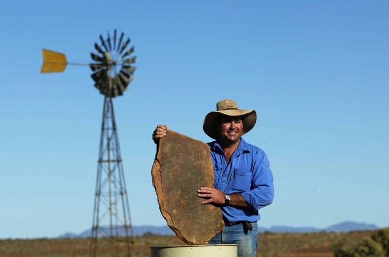 Man in cowboy hat and blue shirt holding large circular metal artwork outdoors with windmill in background.