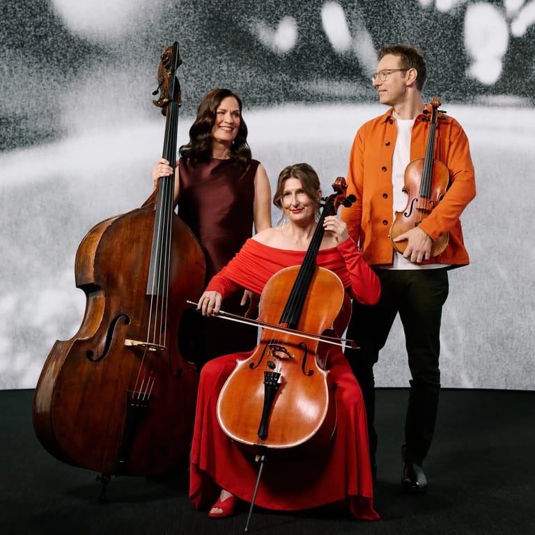 Three string musicians pose with cello and violin against a snowy backdrop, wearing burgundy, red, and orange.