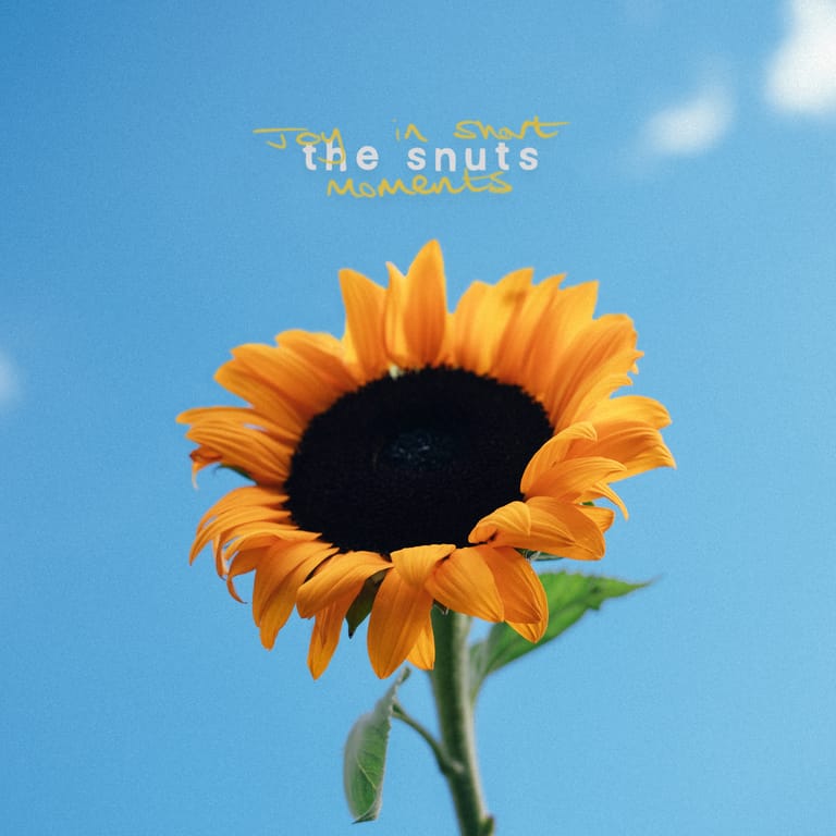 Bright yellow sunflower against blue sky with "the snuts" and "moments" text overlay.