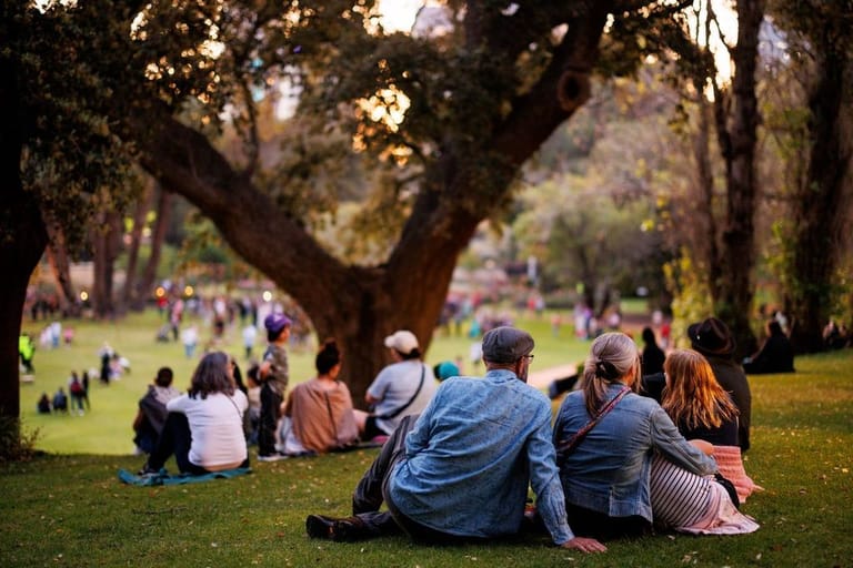 Groups of people relaxed on grass beneath large mature trees in a sunlit park setting.