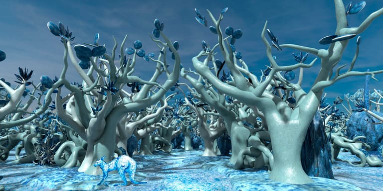 Bleached coral formations rise from shallow turquoise water beneath clear blue sky.