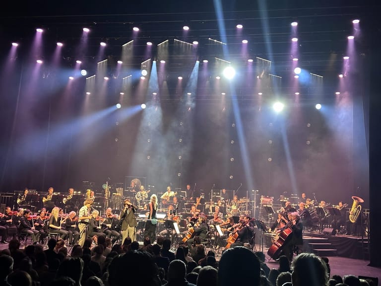 Lime Cordiale perform with Adelaide Symphony Orchestra under dramatic purple and white stage lighting, audience silhouettes in foreground.