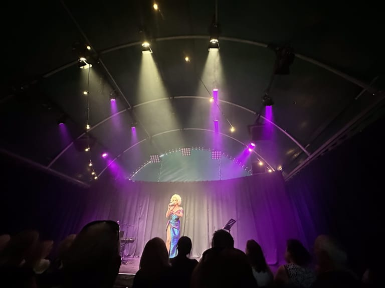 Solo performer in blonde hair and light-coloured outfit centre-stage under purple and white spotlights, surrounded by audience silhouettes.