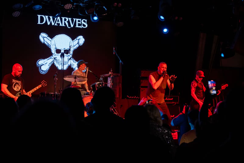 The Dwarves