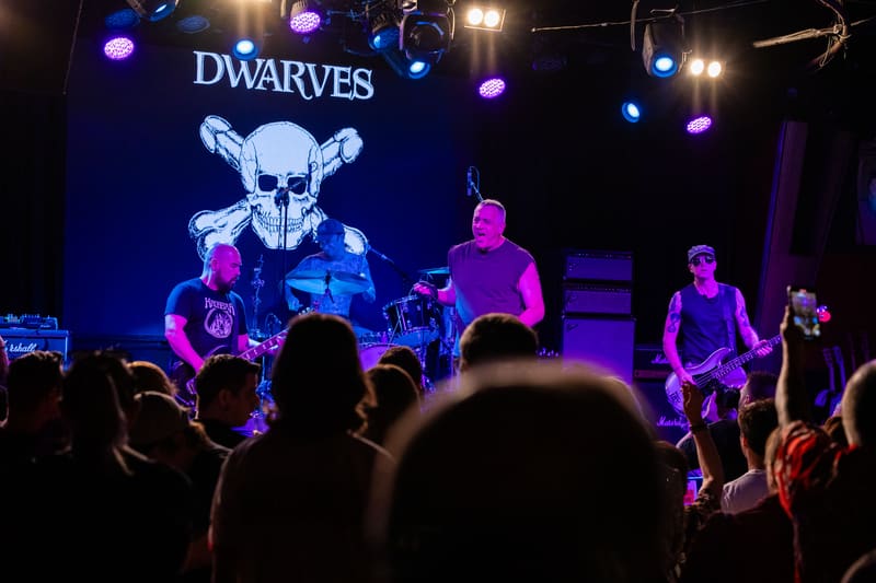 The Dwarves
