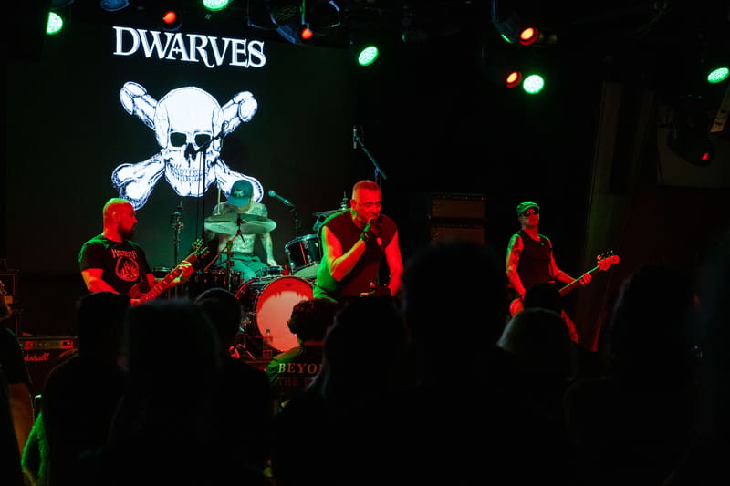 The Dwarves