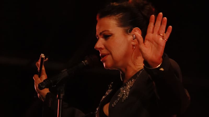 Singer performing on stage with microphone, wearing black clothing and gesturing expressively under warm stage lighting.