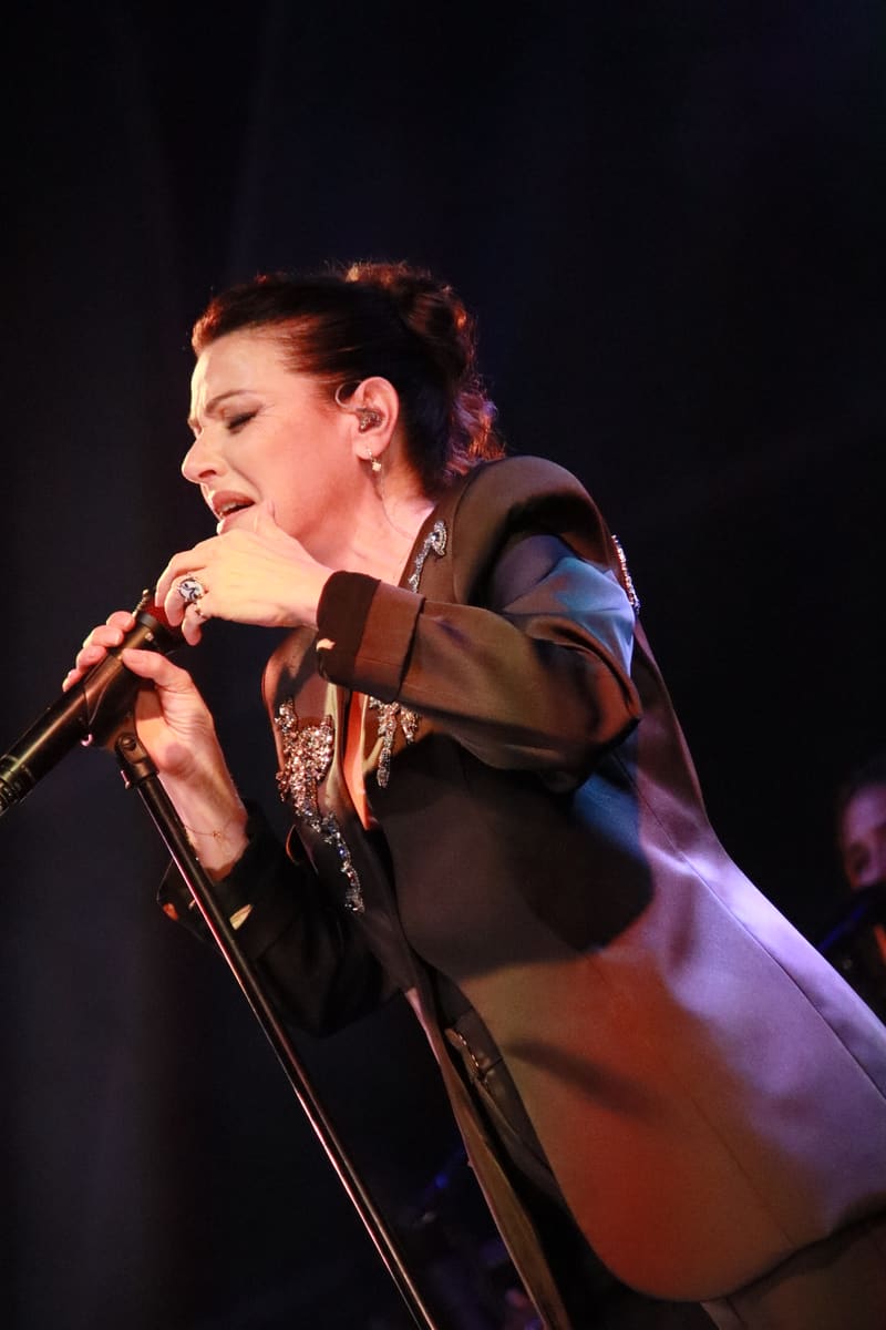 Singer performing with microphone, lit by warm stage spotlights against a dark background.