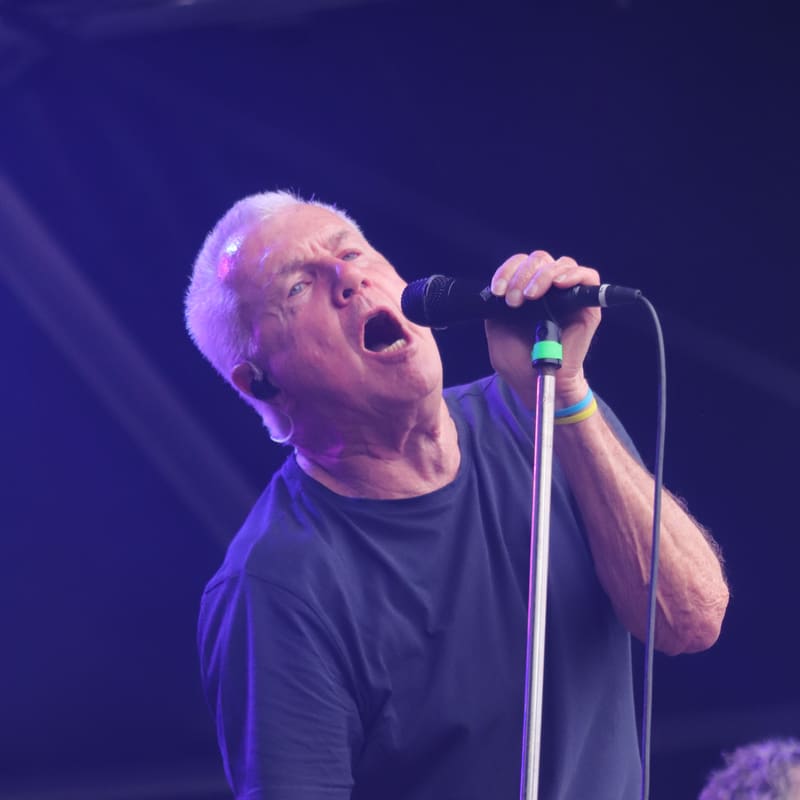 Daryl Braithwaite