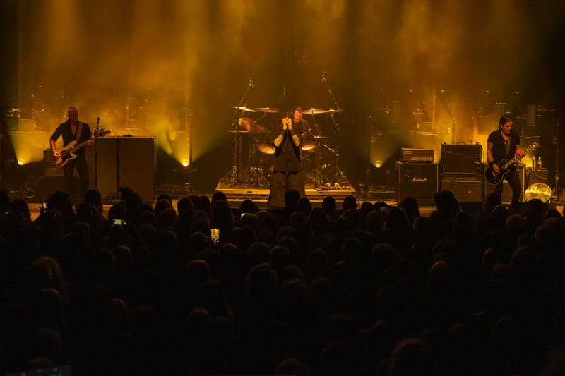 The Cult