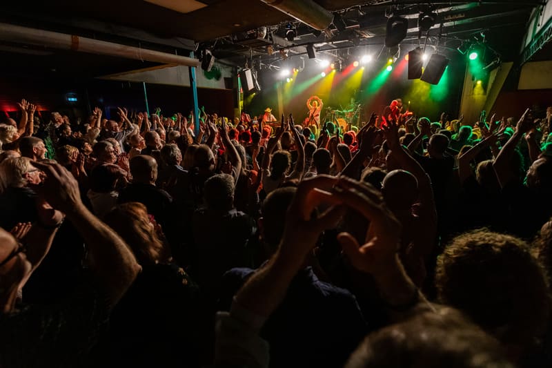 Joe Camilleri and The Black Sorrows