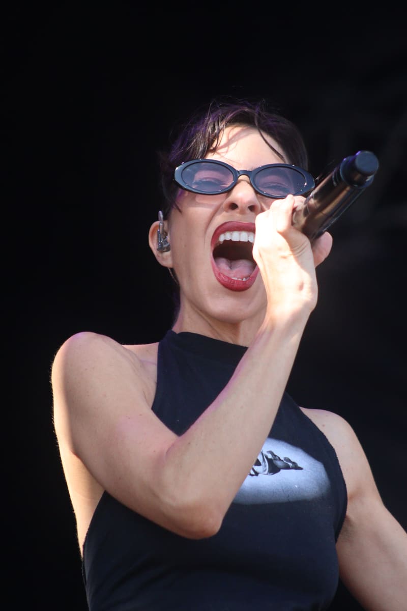 The Veronicas