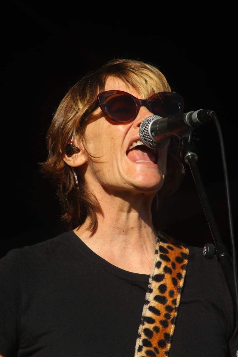 Spiderbait